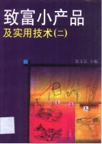 致富小产品及实用技术 2