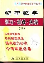 初中数学 学习·训练·实践 3