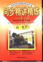 同步精讲精练 高一化学