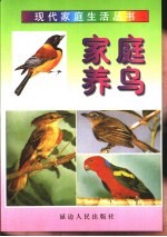 家庭养鸟