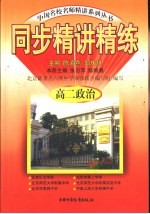 同步精讲练 高二政治