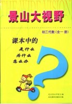 课本中的是什么 为什么 怎么办 初三代数 全1册