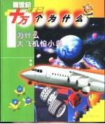 为什么大飞机怕小鸟