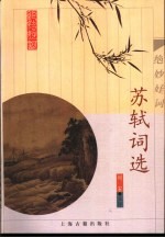 苏轼词选