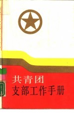 共青团支部工作手册