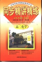 同步精讲精练 高二化学