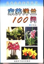 家养洋兰100问
