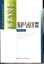知识产权的保护与侵害赔偿