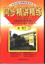 同步精讲练 初一数学 上