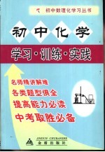 初中化学 学习·训练·实践