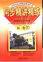 同步精讲练 初三数学