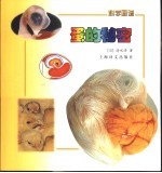 蛋的秘密