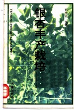 银杏丰产栽培