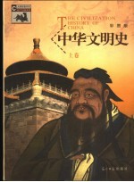 中华文明史 上下 彩图版