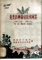 麦类良种栽培技术问答 山农二○五万年二号 阿波 矮白洋 吉利麦