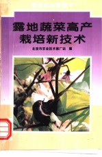 露地蔬菜高产栽培新技术