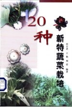 20种新特蔬菜栽培