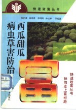 西瓜甜瓜病虫草害防治