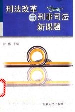 刑法改革与刑事司法新课题