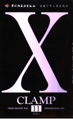 X 11