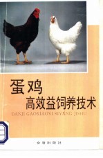 蛋鸡高效益饲养技术