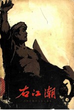 右江潮 广西民兵革命斗争故事集