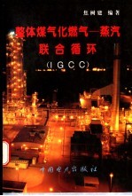 整体煤气化燃气-蒸汽联合循环 IGCC