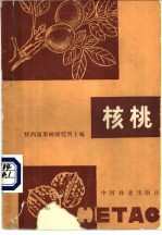 核桃