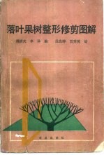 落叶果树整形修剪图解