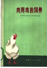 肉用鸡的饲养