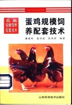 蛋鸡规模饲养配套技术