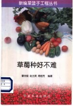 草莓种好不难
