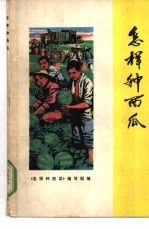 怎样种西瓜