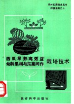 西瓜早熟高效益幼龄果树与瓜菜间作栽培技术