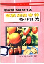 板栗 核桃 枣 柿整形修剪