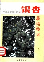 银杏栽培技术
