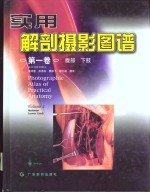 实用解剖摄影图谱 第1卷 腹部 下肢