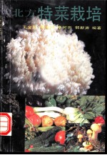 北方特菜栽培
