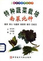 特种蔬菜栽培 南菜北种 蕹菜 菜心 乌塌菜 细香葱 番杏 四棱豆