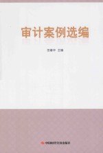 审计案例选编