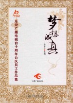 梦想成真