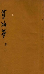 孽海梦 上