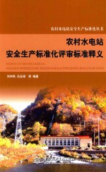 农村水电站安全生产标准化评审标准释义