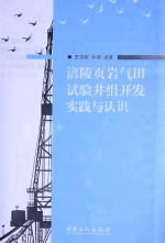 涪陵页岩气田试验井组开发实践与认识