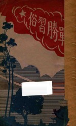 战胜习俗 创作小说集