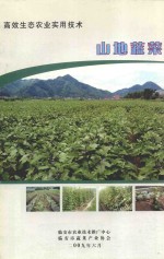 高效生态农业实用技术 山地蔬菜