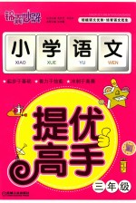 锦囊妙解小学生系列 小学语文提优高手 三年级