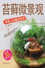 苔藓微景观 桌面上的童话世界