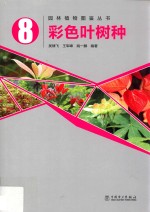 彩色叶树种
