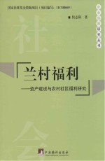 兰村福利 资产建设与农村社区福利研究